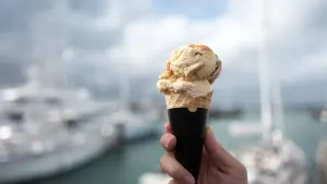 Flavours of our City